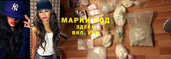 индика Богородск