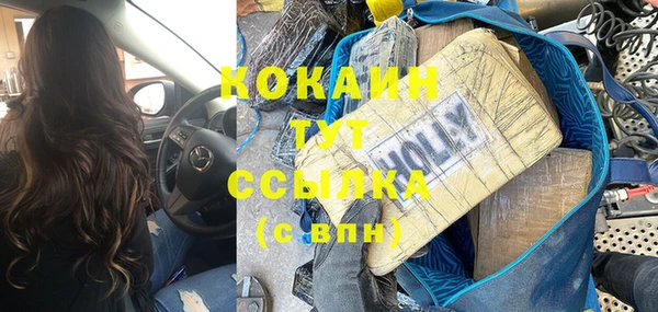 дживик Белокуриха