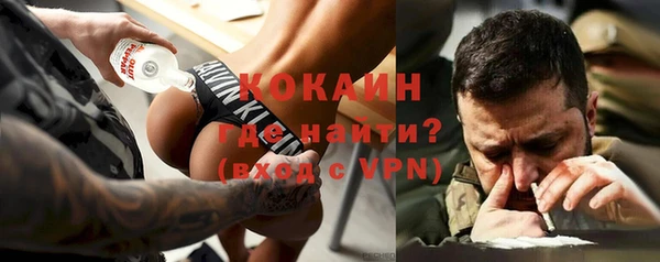 дживик Белокуриха