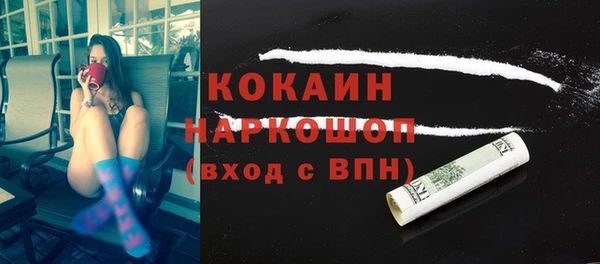 индика Богородск