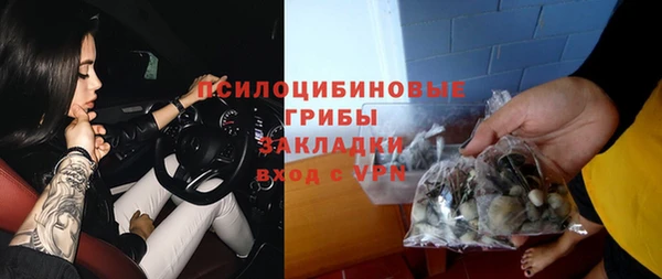 PSILOCYBIN Богородицк