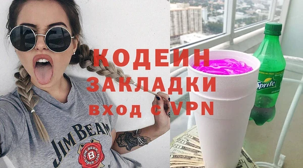индика Богородск
