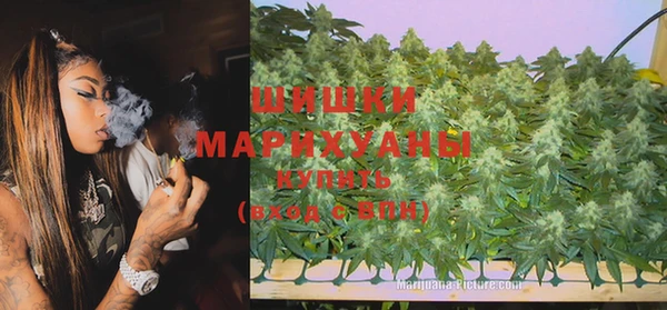 дживик Белокуриха