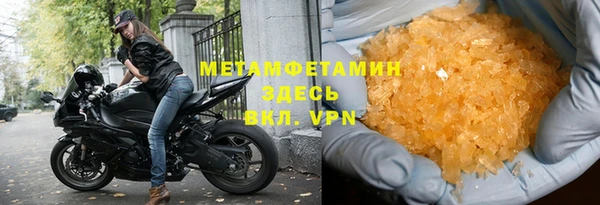 индика Богородск