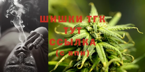 PSILOCYBIN Богородицк