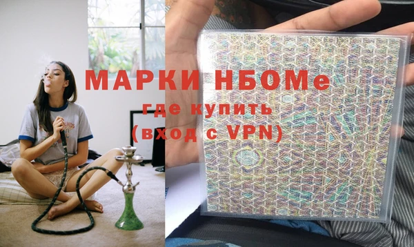 индика Богородск