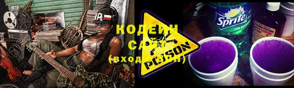 индика Богородск