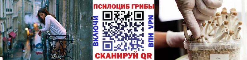 гидра   купить   Пенза  Галлюциногенные грибы Magic Shrooms 
